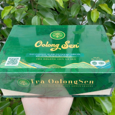Uống Trà Oolong Sen Như Thế Nào Là Tốt Nhất?