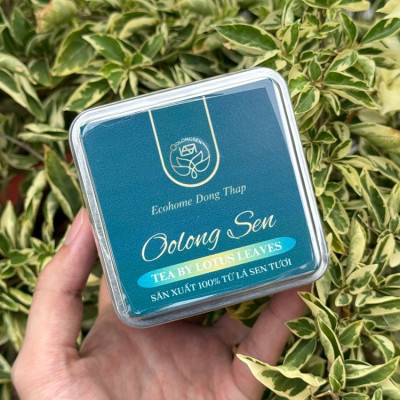 Trà Hòa Tan Oolong Sen - Sự Kết Hợp Giữa Truyền Thống Và Hiện Đại