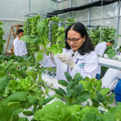 Nông Nghiệp Đô Thị Cần Có Vật Tư Chuyên Biệt, Không Mang Sản Phẩm Nông Nghiệp Truyền Thống Vào Thành Phố