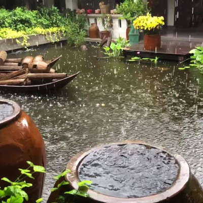 Lu nước và Ký Ức Mùa Nước Nổi Miền Tây Xưa: Hồn quê còn đọng lại ?