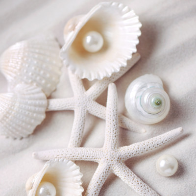 Ngọc Trai Món Quà Kỳ Diệu Từ Biển Cả