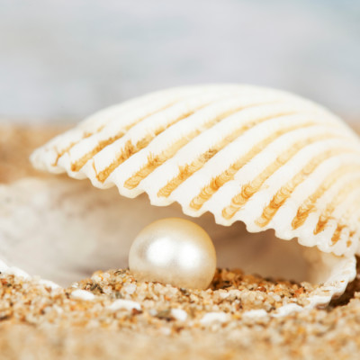 Vì Sao Ngọc Trai Biển Có Giá Trị Cao?