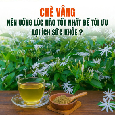 Nên Uống Chè Vằng Vào Lúc Nào Tốt Nhất Để Tối Ưu Lợi Ích Sức Khỏe?