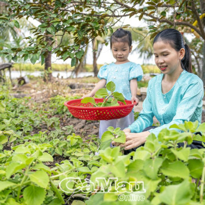 Khởi Nghiệp Từ Đam Mê