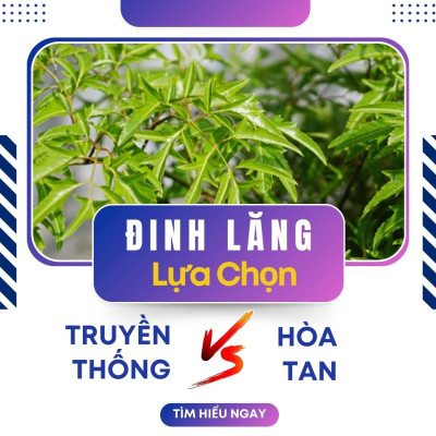 Cao Đinh Lăng Hòa Tan Và Cao Truyền Thống: Loại Nào Tốt Hơn Cho Bạn?