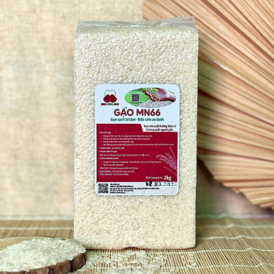 Gạo MN66 Túi 2kg