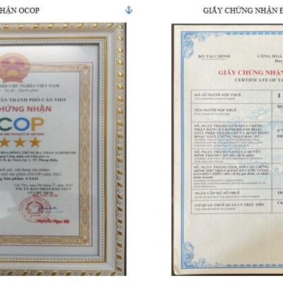Giấy chứng nhận OCOP