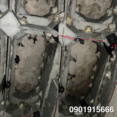 Những Yến Tố Khiến Nhà Yến Khó Thành Công