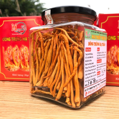 Đông Trùng Hạ Thảo Ăn Như Thế Nào Là Tốt Nhất?