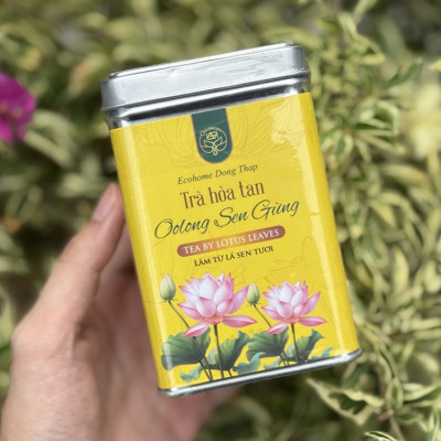 Uống Trà Oolong Sen Gừng Mỗi Ngày Có Tốt Không?