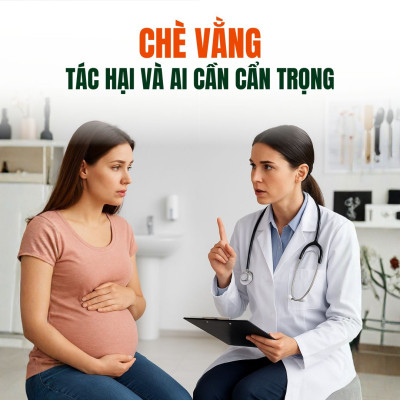 Giải Mã Lời Đồn: Tác Hại Của Chè Vằng – Ai Cần Tuyệt Đối Cẩn Trọng?