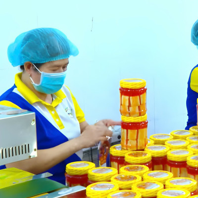 Vĩnh Long: Hỗ Trợ Doanh Nghiệp Nhỏ Và Vừa Năm 2025 Và Giai Đoạn 2025-2027