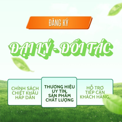 Số Hóa Thông Tin Doanh Nghiệp