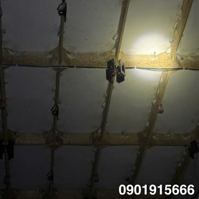 Tìm Hiểu Vai Của Thành Làm Tổ Trong Nhà Yến