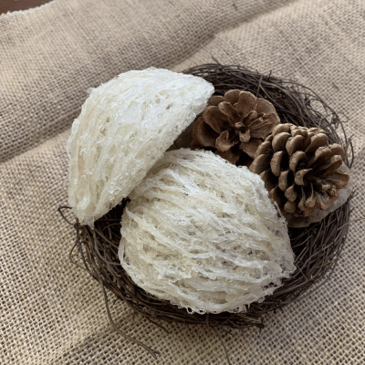 Yến Tươi Là Gì? Có Bao nhiêu Loại Yến Tươi?