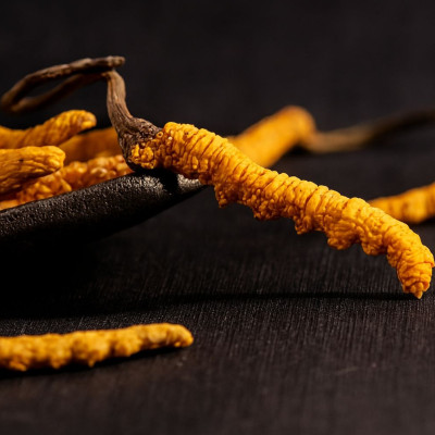 Đông Trùng Hạ Thảo Và Nhân Sâm Loại Nào Tốt Hơn?