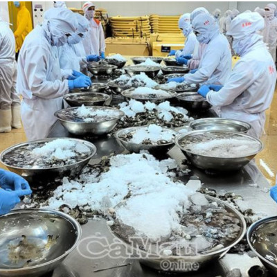 Cà Mau Hỗ Trợ Doanh Nghiệp Để Bứt Phá Xuất Khẩu Thuỷ Sản