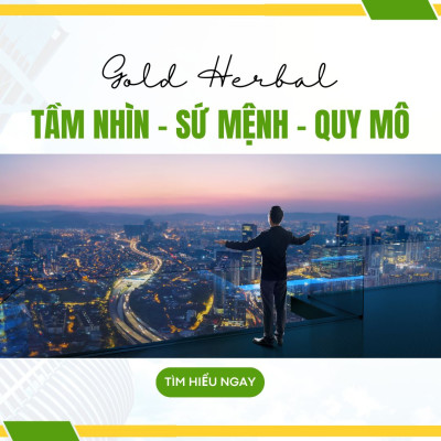 Tầm Nhìn - Sứ Mệnh - Quy Mô