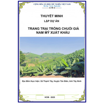 Thuyết Minh Lập Dự Án Trang Trại Trồng Chuối Già Nam Mỹ Xuất Khẩu