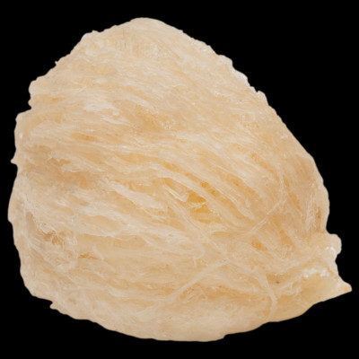 Tổ Yến Trắng Sơ Chế - Nhà Yến Nha Trang - Loại Chất Lượng 5.0 - Hộp 50 Gram - Tổ Yến Sơ Chế - Hàng Chính Hãng