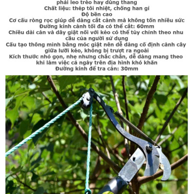 Loại Tốt: Bộ Đầu Kéo Cắt Cành Tỉa Cây Hái Hoa Quả Trên Cao