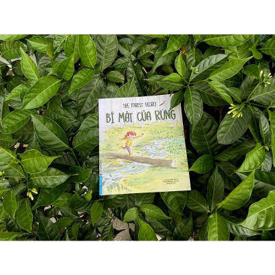 Sách - Bí Mật Của Rừng - The Forest Secret