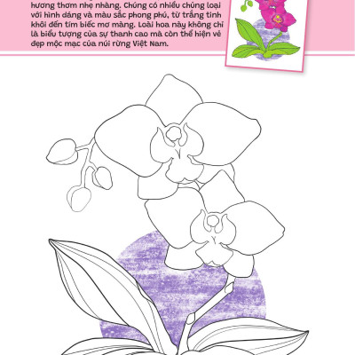 Sách - Yêu Quá Việt Nam - Các Loài Hoa