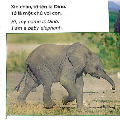 Gõ Cửa Thiên Nhiên: Bạn Đang Làm Gì Thế? Chăm Chỉ - What Are You Doing?