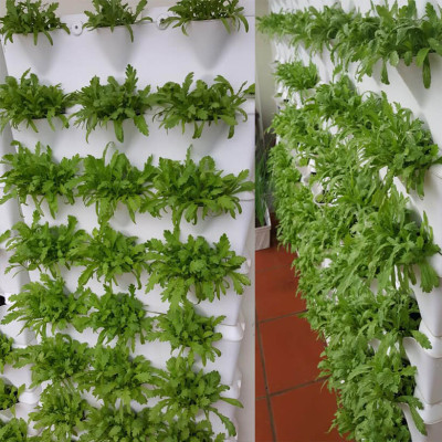 Khung Module Rau Ban Công (1M2 xếp ngang Có Tưới Nhỏ giọt bán tự động) dạng Đứng VerticalMinigarden nhập khẩu Bồ Đào Nha với 8 chậu kèm 2 Tray hứng nước và bộ dây tưới nhỏ giọt lắp sẵn