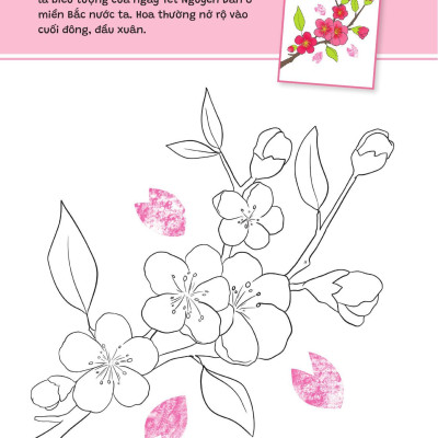 Sách - Yêu Quá Việt Nam - Các Loài Hoa