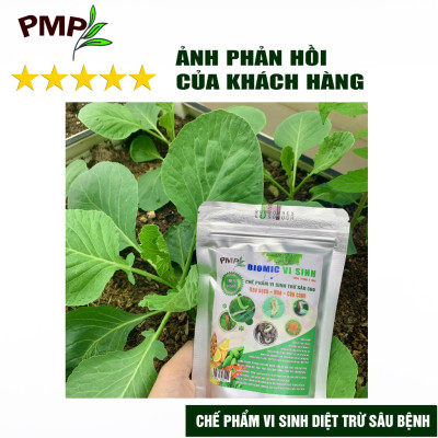 Combo Green Neem Hữu Cơ, Chế Phẩm Vi Sinh Biomic & Giấm Gỗ Sinh Học APY PMP Bảo Vệ Toàn Diện Hoa Hồng, Rau, Cây Cảnh