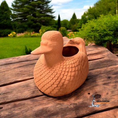 Chậu Gốm Đất Nung Hình Con Vịt Ducky