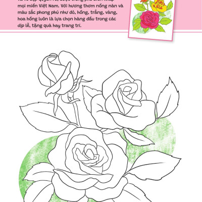 Sách - Yêu Quá Việt Nam - Các Loài Hoa