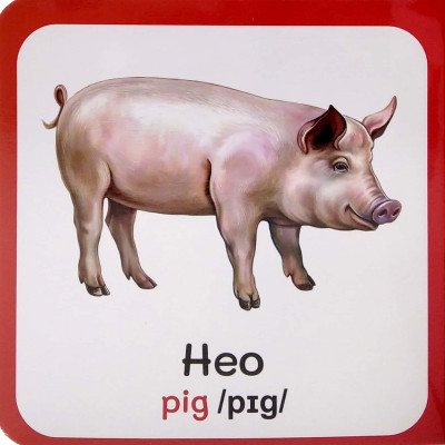 Từ Điển Bằng Hình Đầu Tiên Của Bé - Baby