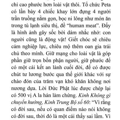 Phía Sau Văn Bản Đời Người