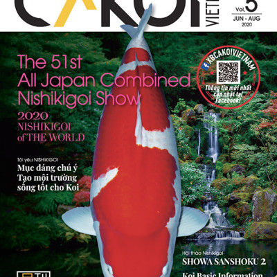 Cá Koi Vietnam - Combo 3 cuốn (Tập 4, 5, 6)