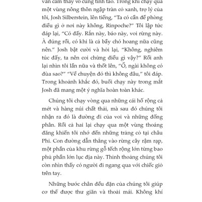 Thiền Trong Chuyển Động