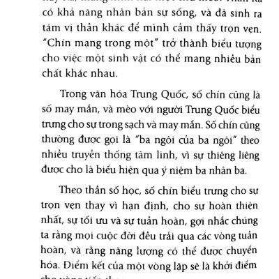 Chiếc Mèo Kỳ Diệu