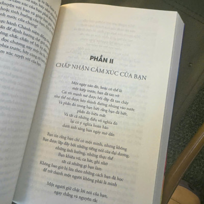 TIẾNG LÒNG - Những Điều Cảm Xúc Đang Cố Nói Với Bạn - Karla McLaren, M.Ed - Hà Trang dịch - Thái Hà Books