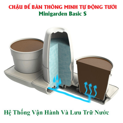 Chậu Để Bàn Tự Tưới và Tự bón phân Basic S , nhập khẩu Minigarden dành cho người yêu cây xanh nhưng không có thời gian chăm sóc cây (Giải pháp trồng cây TỰ DƯỠNG bền vững) (1 bộ gồm 2 chậu S, 1 khay hứng nước, 1 bình chứa nước và phân)