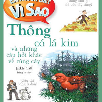 Em Muốn Biết Vì Sao - Thông Có Lá Kim Và Những Câu Hỏi Khác Về Rừng Cây