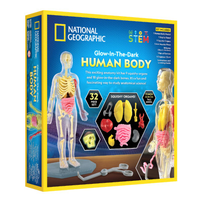 Đồ Chơi National Geographic Khám Phá Bộ Phận Cơ Thể Người STEAM  RTHUMBODY