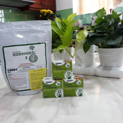 BỘT DƯỠNG HOA LONGLIFE SG CỦA ISRAEL (COMBO 5 KG) BÍ QUYẾT GIỮ HOA TƯƠI LÂU GẤP 2 LẦN DÀNH SHOP HOA BẢO QUẢN HOA CẮM BÌNH, HOA CẮM XỐP TƯƠI LÂU VÀ KHÔNG THAY HOA ĐỊNH KỲ THÁNG