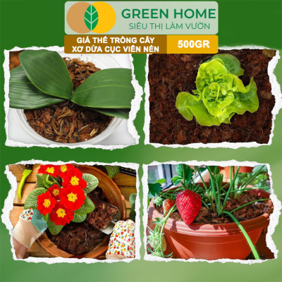 Xơ Dừa Cục Greenhome, Viên 500gr, Sơ Dừa Nén, Nở Gấp 5 Lần, Kích Thích Rễ, Thoát Nước Tốt Giá Thể Kiểng Lá, Phong Lan