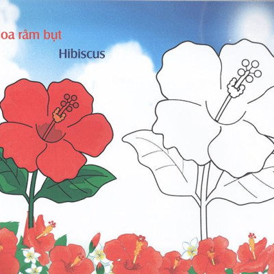 Bé Làm Quen Môi Trường - Các Loài Hoa
