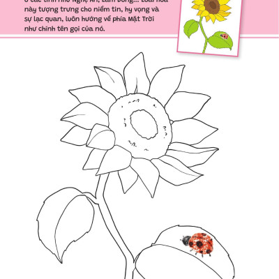 Sách - Yêu Quá Việt Nam - Các Loài Hoa