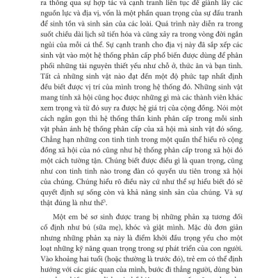 Beyond Order - Vượt Lên Trật Tự