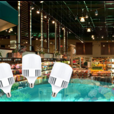 Bóng đèn Led Bulb 30W thân nhôm Vi-Light sáng trắng 6500K