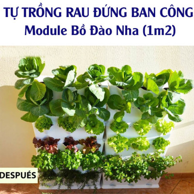 Khung Module Rau Ban Công (1M2 xếp ngang Có Tưới Nhỏ giọt bán tự động) dạng Đứng VerticalMinigarden nhập khẩu Bồ Đào Nha với 8 chậu kèm 2 Tray hứng nước và bộ dây tưới nhỏ giọt lắp sẵn