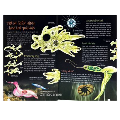 Động Vật Kỳ Quặc (HH)